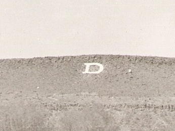 Dixie D on the Black Hill