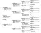 Pedigree Chart