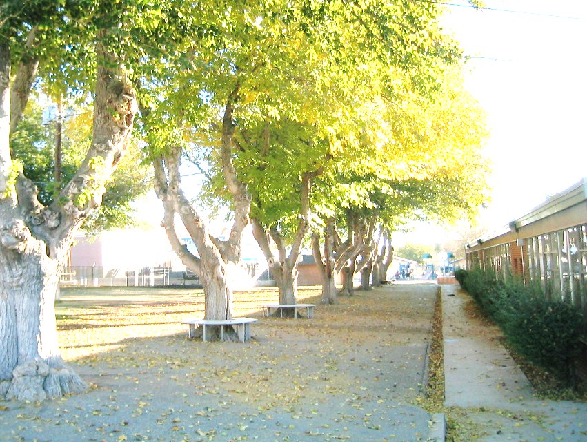 North side looking east