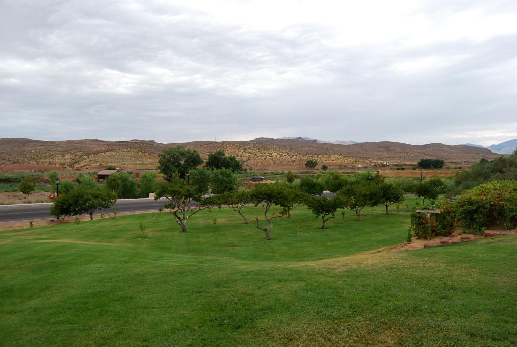 Orchard in front of the Jacob Hamblin home