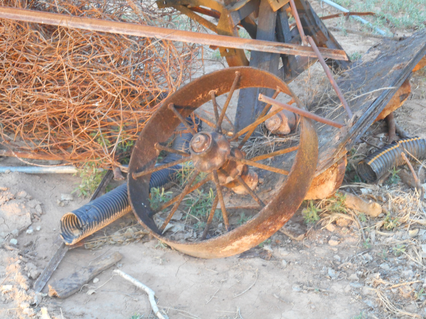 Old metal wheel and other junk on the Foster Farm