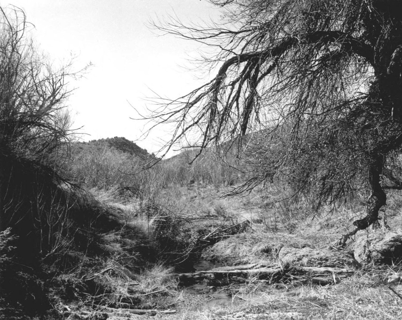 Mountain Meadows Historical Site