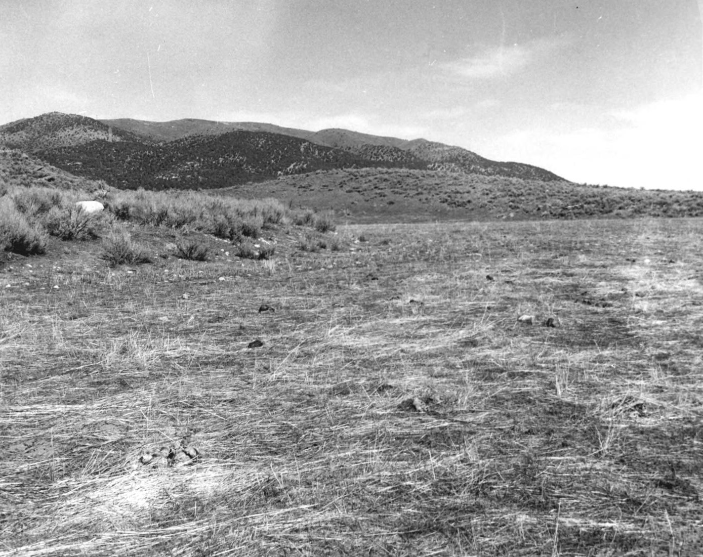 Mountain Meadows Historical Site