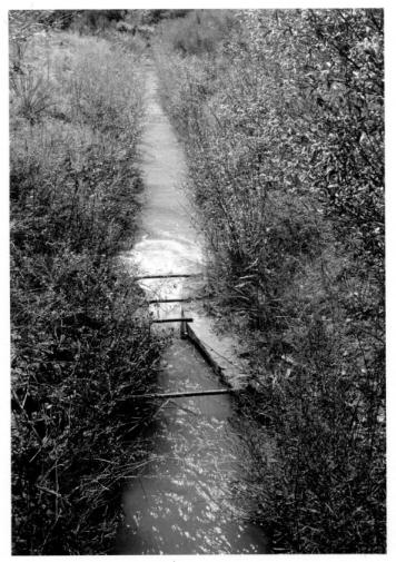 Crawford Irrigation Canal